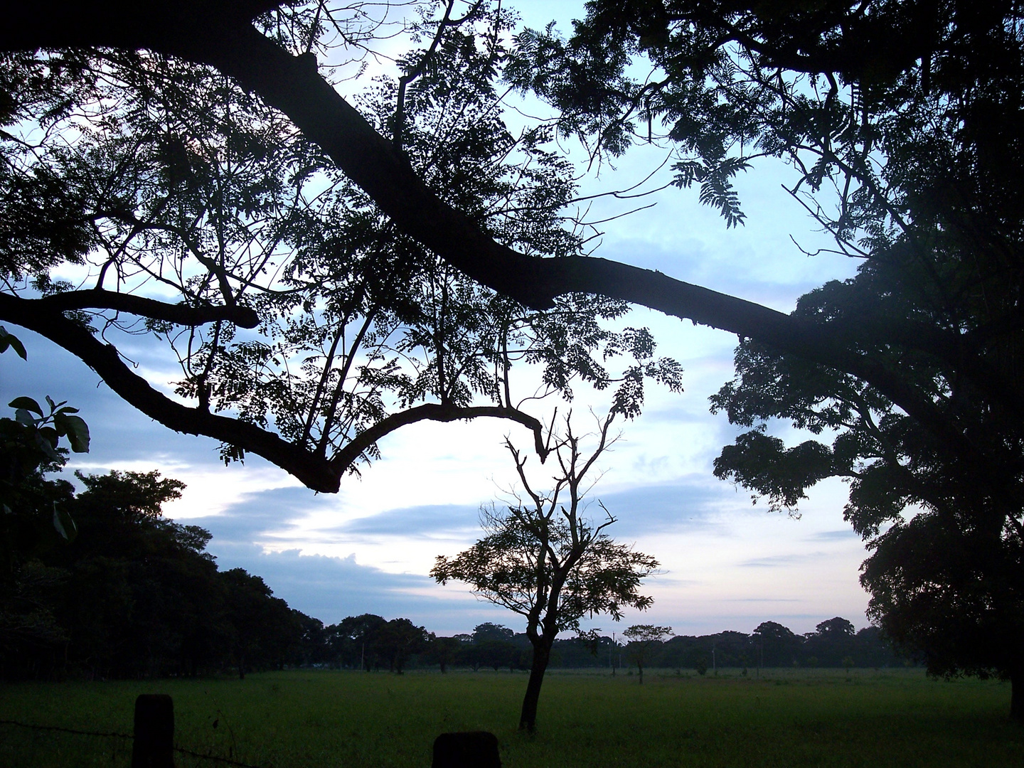 Atardecer llanero