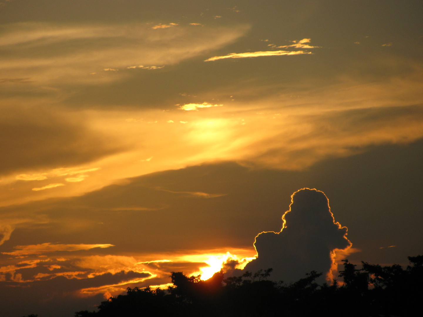 ATARDECER LLANERO