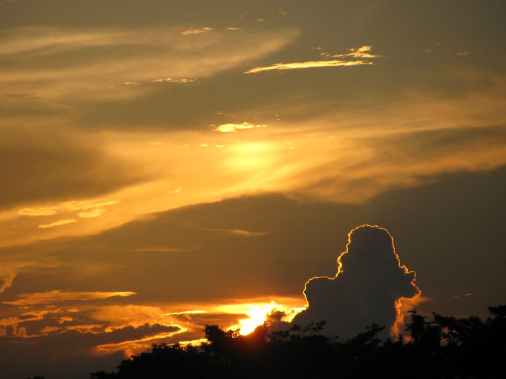 ATARDECER LLANERO