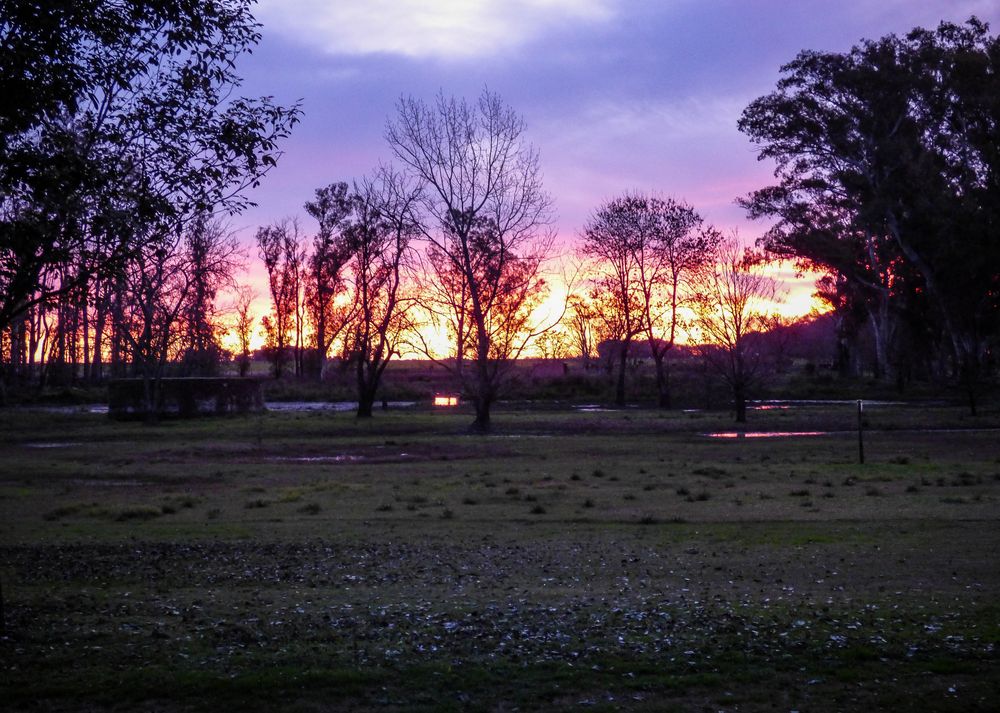 Atardecer magenta