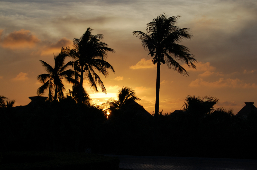 Atardecer Mexicano de Francisco Puig 