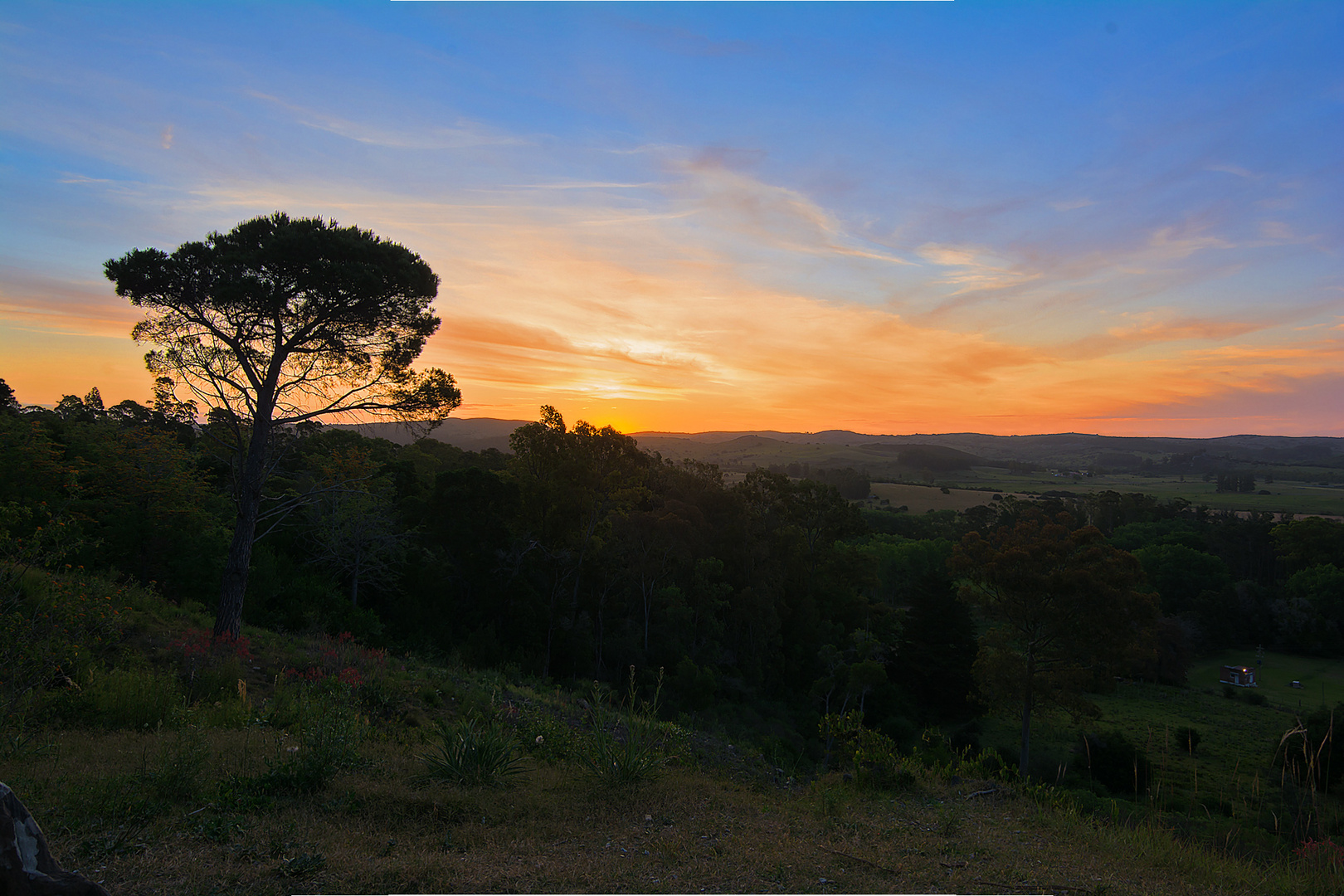 Atardecer Multicolor