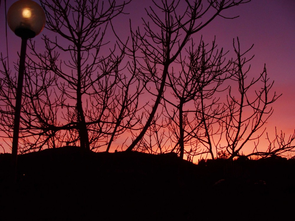 Atardecer otoñal