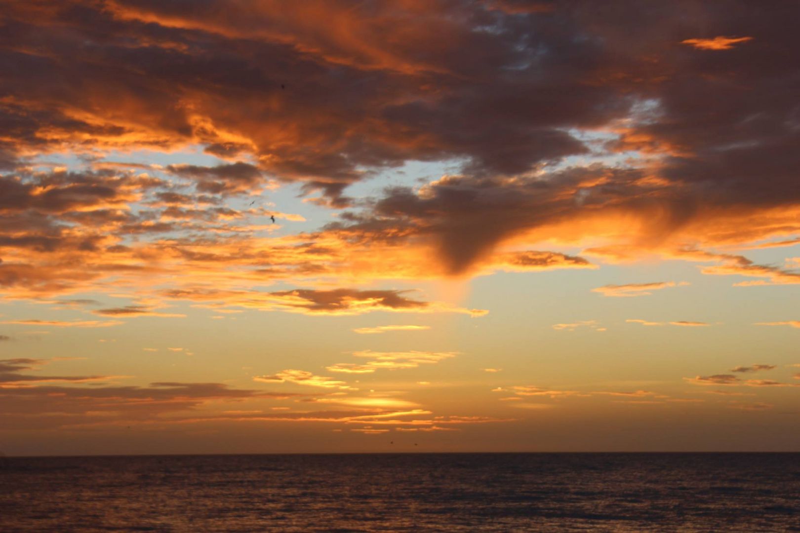 Atardecer Punta Arena