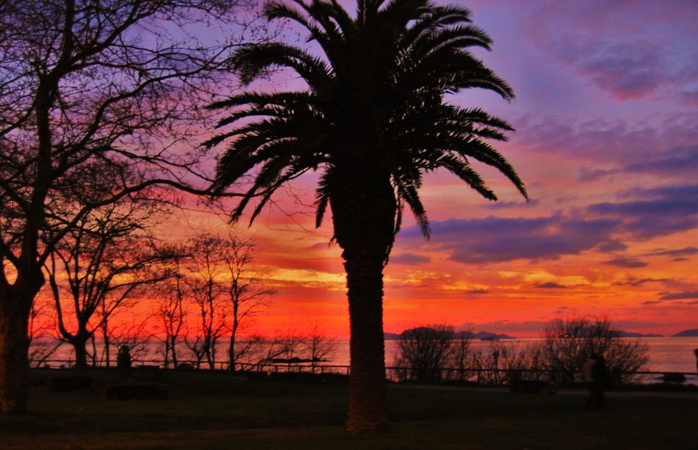 Atardecer , ria de VIGO