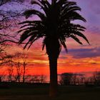 Atardecer , ria de VIGO