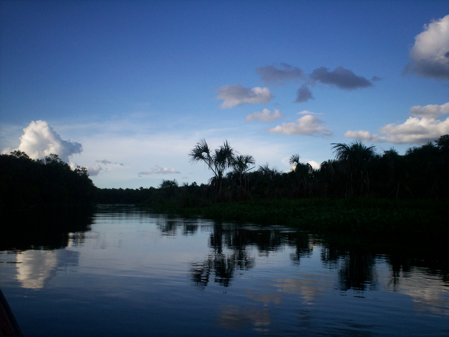 Atardecer, Río Morichal largo- Venezuela