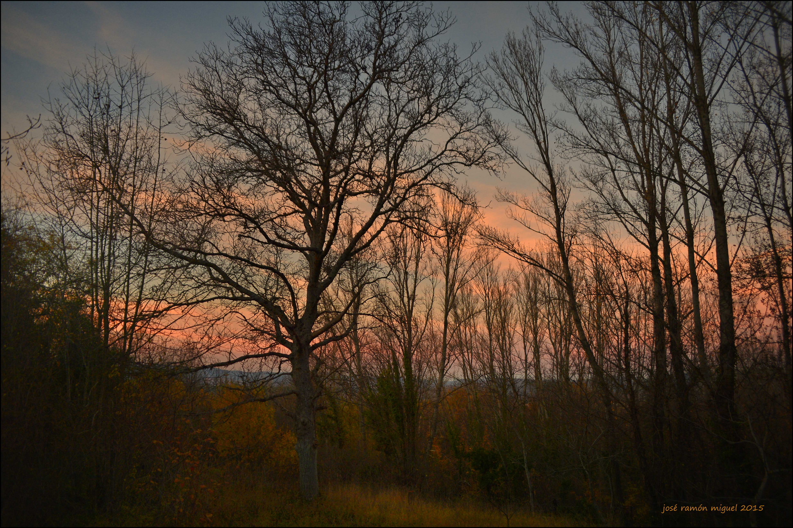 Atardecer rosa