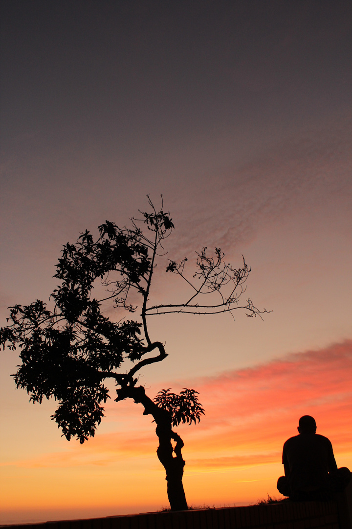 Atardecer solitario