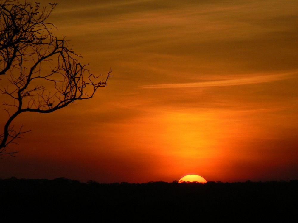 Atardecer Venezolano