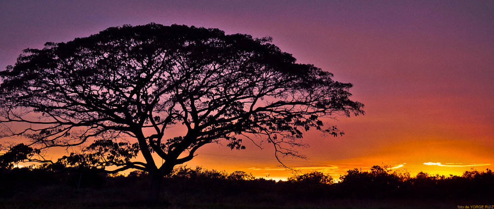 Atardecer, venezuela