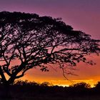 Atardecer, venezuela