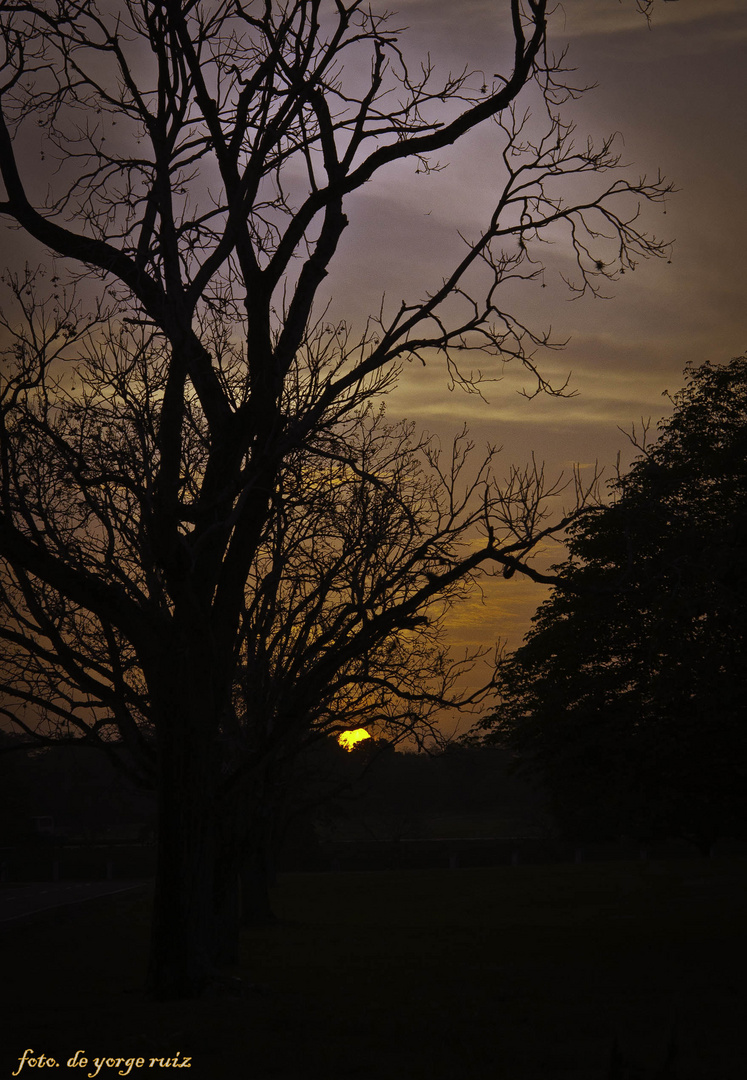 Atardecer, venezuela