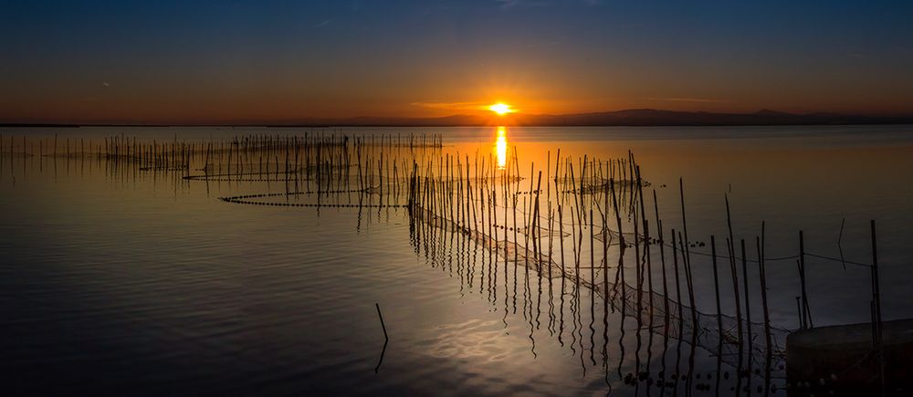 Atardecer y redes