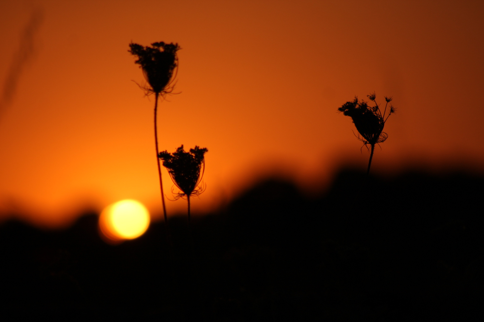 Atardeceres en Deleitosa, verano.