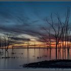 Atardeceres suaves