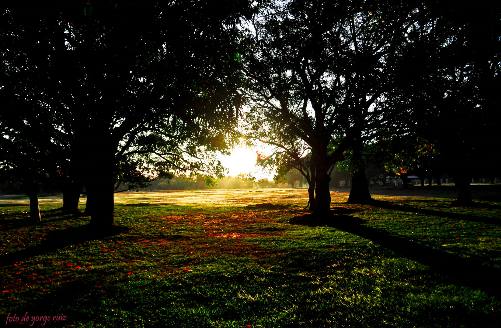 Atardecerr, venezuela