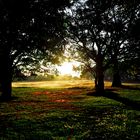 Atardecerr, venezuela