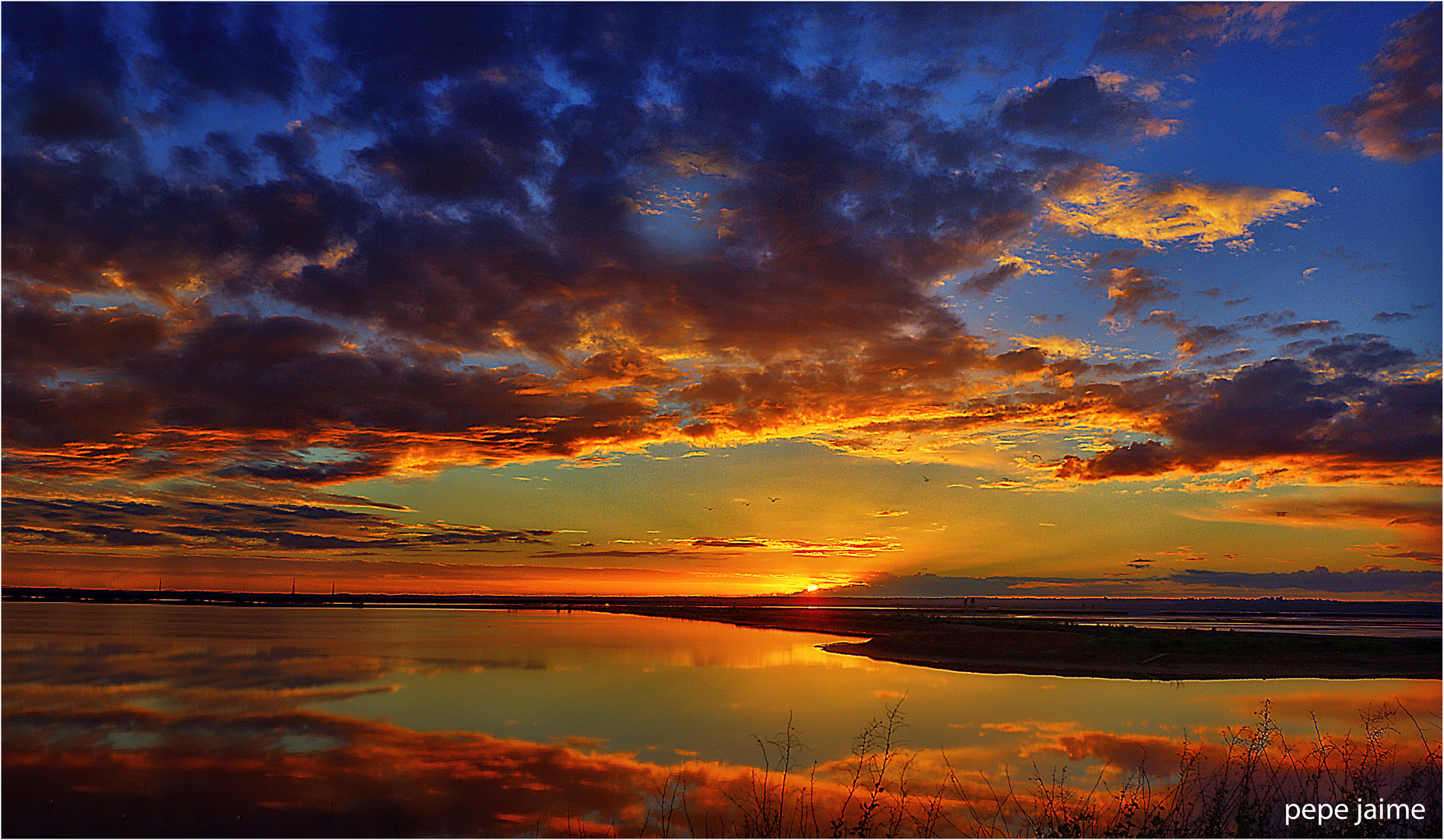 Atardecía en las marismas 