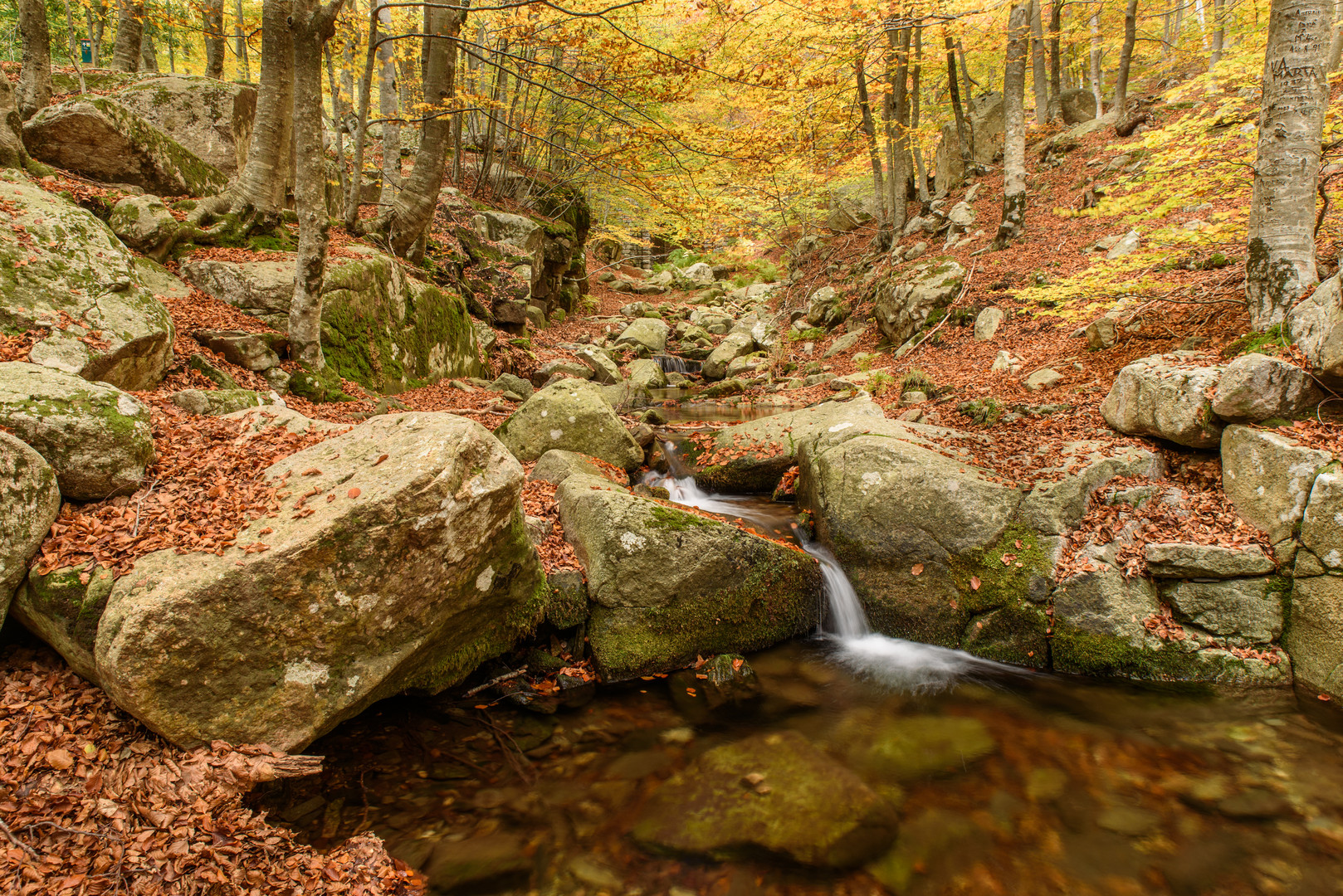 Atardor el Montseny 