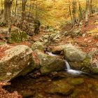 Atardor el Montseny 