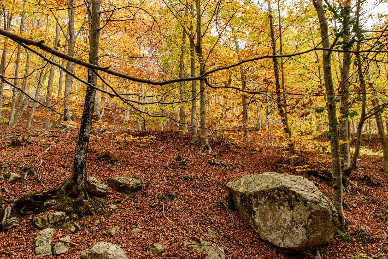 Atardor Montseny 2