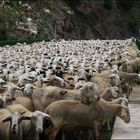 ATASCO EN EL PUENTE