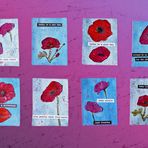 ATC Karten  "Mohn" Poppy Flower