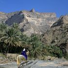 Atelier retouches n° 17  :promenade au Sultanat d'Oman