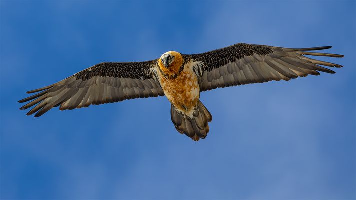 "Atemberaubend......."