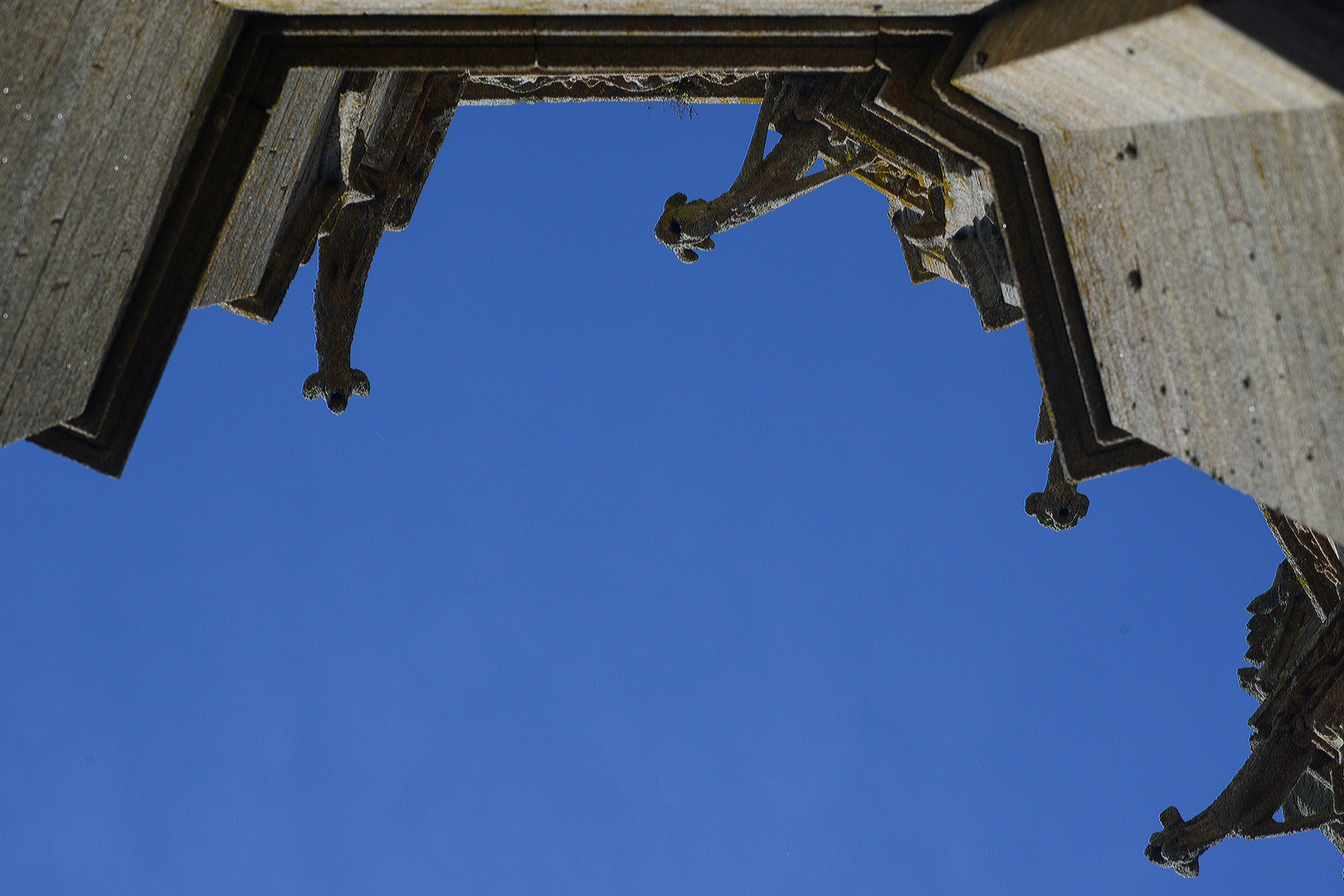 atemberaubender Blick gen Himmel