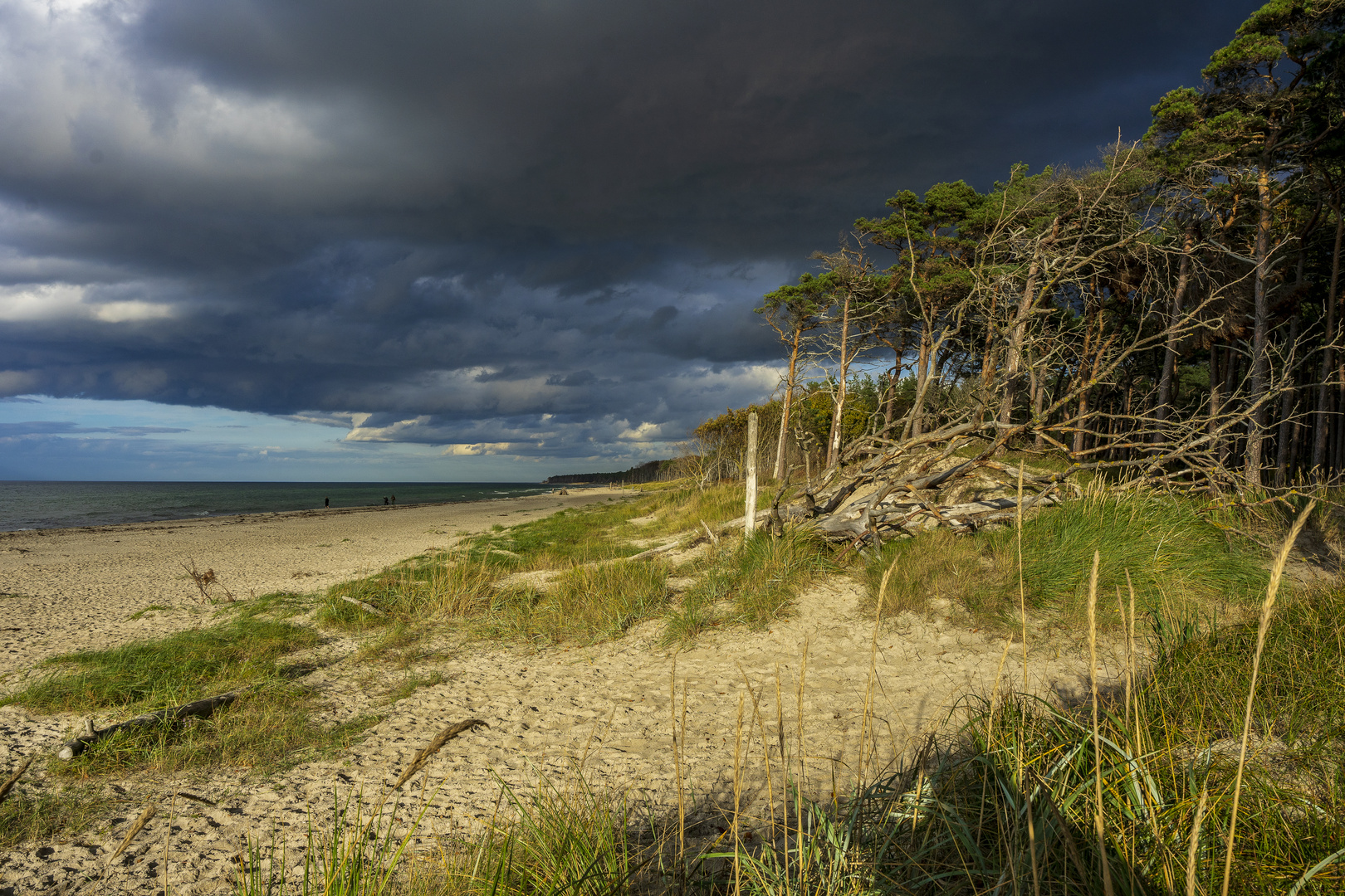 Atemberaubender Darßer Weststrand