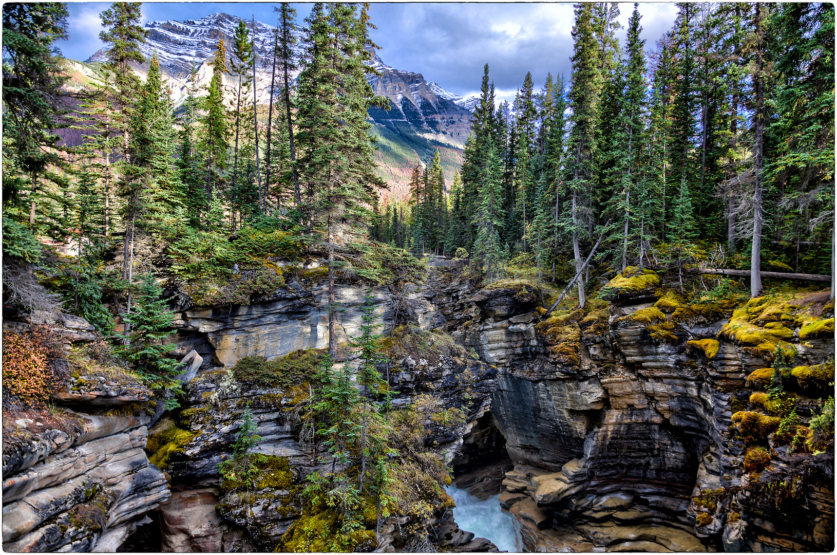 Athabasca Falls 2