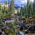 Athabasca Falls 2