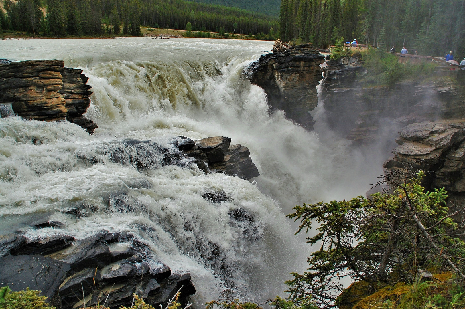 Athabasca Falls 3