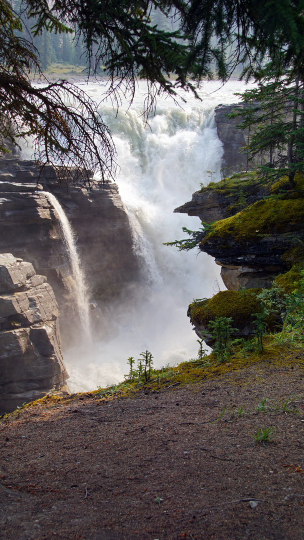 athabasca falls