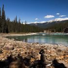 Athabasca Falls