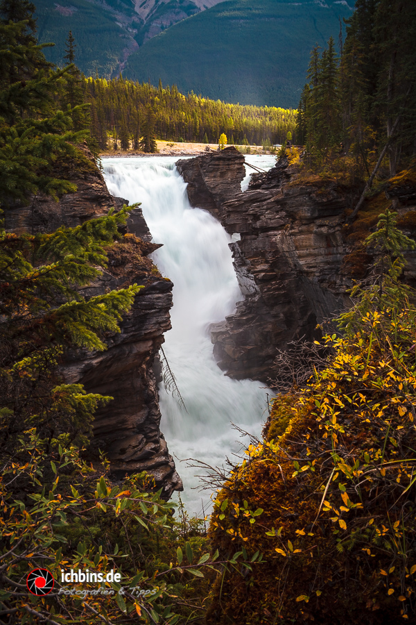 Athabasca Falls