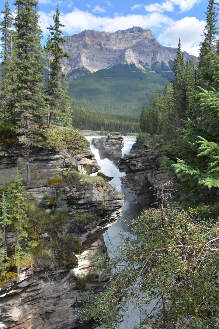 Athabasca Falls