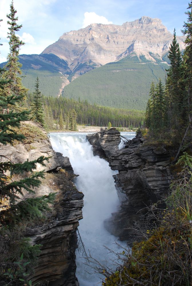 Athabasca Falls ...