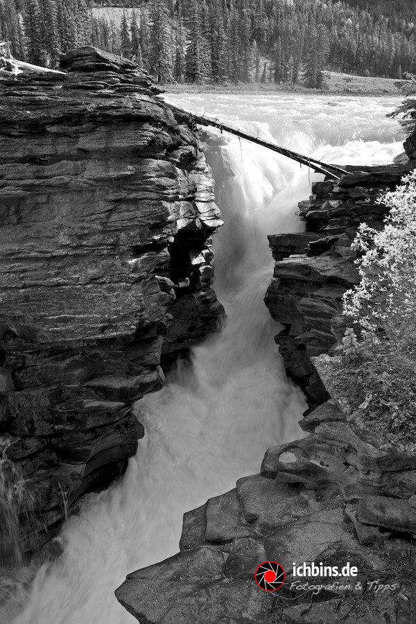 Athabasca Falls