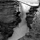 Athabasca Falls