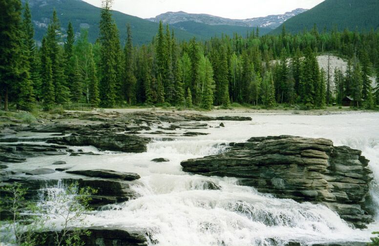 Athabasca Falls, Alberta