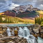 Athabasca Falls