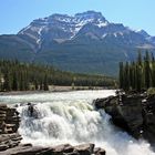 Athabasca Falls