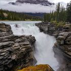 Athabasca falls