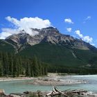 Athabasca Falls I