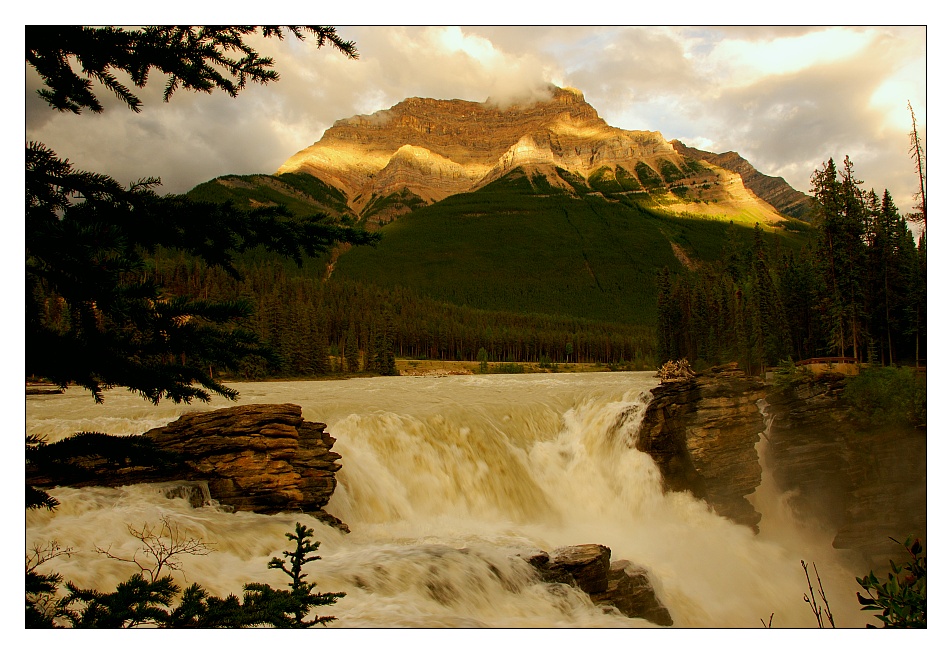 Athabasca Falls, Jasper National Park