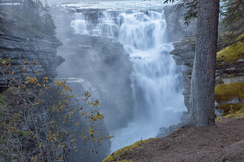 Athabasca Falls Jasper National Park