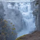 Athabasca Falls Jasper National Park